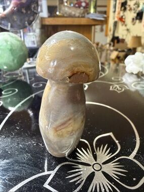 Handheld Brown Polished Stone Mushroom Figurine - Decorative NEW WITHOUT TAGS
